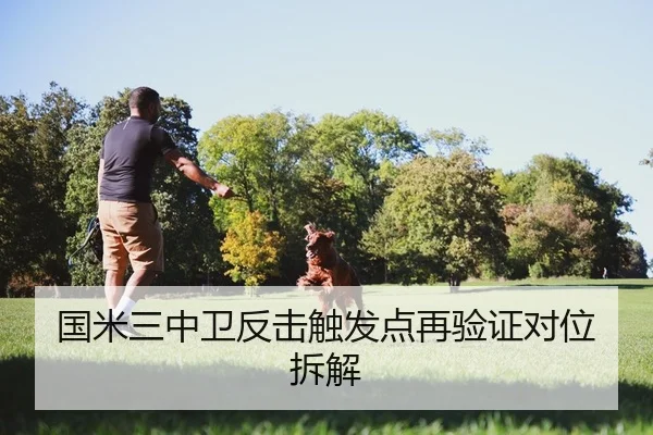 国米三中卫反击触发点再验证对位拆解